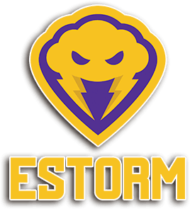 ESTORM